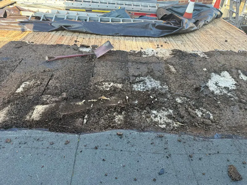 Old flat roof covering being pulled up from the deck